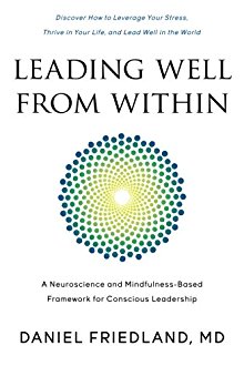 دانلود کیندل Leading Well From Within: A Neuroscience And Mindfulness-Based Framework دانلود کتاب Daniel Friedland MD 0997853808 9780997853803