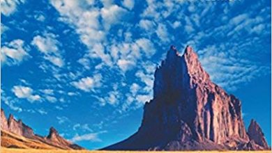 خرید کتاب زبان اصلی خرید کتاب از امازون amazon.com ، گوگل بوکز دانلود کتاب خارجی Sensation and Perception 10th Edition دانلود کتاب Sensation and Perception