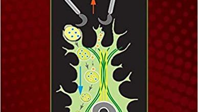 خرید ایبوک Spermatogenesis: Biology and Clinical Implications دانلود کتاب اسپرماتوژنز: بیولوژی و پیامدهای بالینی download PDF خرید کتاب از امازون