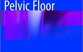 خرید ایبوک The Overactive Pelvic Floor دانلود کف لگن بیش از حد فعال