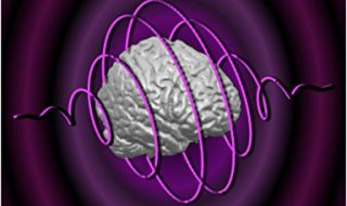 خرید ایبوک Cycles in mind: How brain rhythms control perception and action Kindle Edition دانلود کتاب چرخه در ذهن: چگونه ریتم مغز کنترل ادراک و عمل روشن شدن نسخه download Theobald PDF خرید kindle از امازون