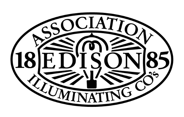 دانلود استانداردهای انجمن شرکتهای نورانی ادیسون Association of Edison Illuminating Companies- دانلود پکیج کامل استانداردهای AEIC خرید استاندارد AEIC 2019