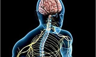 خرید ایبوک Neuropathic Pain A Case-Based Approach to Practical Management دانلود کتاب Neuropathic Pain یک رویکرد مبتنی بر مورد در مدیریت عملی