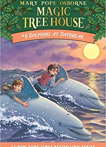 دانلود کتاب Dolphins at Daybreak Magic Tree House Book 9 خرید ایبوک دلفین ها در طوفان دانلود کتابهای کودک Mary Pope Osborne