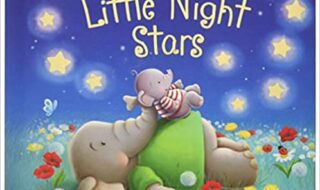 دانلود کتاب Ten Little Night Stars دانلود ایبوک ده ستاره شب کوچک ISBN-10 : 031076212XISBN-13 : 978-0310762126