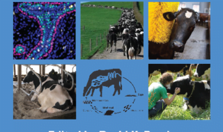 دانلود کتاب Large Dairy Herd Management 3rd Edition دانلود ایبوک نسخه بزرگ مدیریت گله گاو شیری EDITOR-IN-CHIEFDavid K. Beede