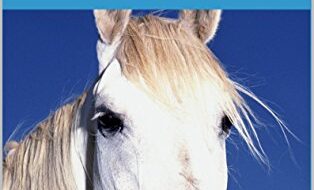 ایبوک Equine Chiropractic A Step-by-Step Guide for Professionals خرید کتاب کایروپراکتیک اسب یک راهنمای گام به گام برای حرفه ای ها