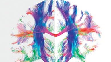 ایبوک Language in Our Brain The Origins of a Uniquely Human Capacity خرید کتاب زبان در مغز ما منشأ یک ظرفیت منحصر به فرد انسانی است