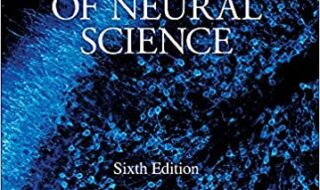 ایبوک Principles of Neural Science 6th خرید کتاب اصول علوم عصبی نسخه ششم ISBN-10 : 1259642232 ISBN-13 : 978-1259642234
