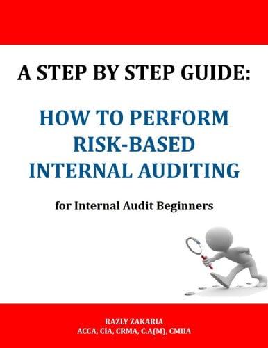 دانلود کتاب A Step By Step Guide How to Perform Risk Based Internal