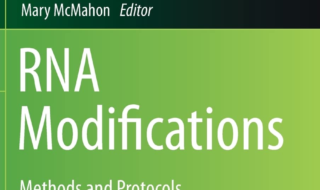 دانلود کتاب RNA Modifications Methods and Protocols دانلود ایبوک روش ها و پروتکل های اصلاح RNA انتشارات Humana