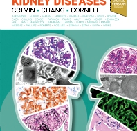 دانلود کتاب Diagnostic Pathology Kidney Diseases 4th Edition دانلود ایبوک آسیب شناسی تشخیصی بیماری های کلیه ویرایش چهارم