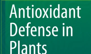 دانلود ایبوک Antioxidant Defense in Plants: Molecular Basis of Regulation و خرید کتاب دفاع آنتی اکسیدانی در گیاهان: مبنای تنظیم مولکولی