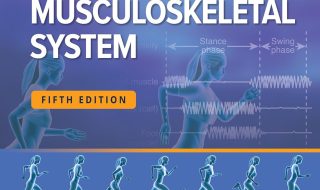 دانلود ایبوک Basic Biomechanics of the Musculoskeletal System 5th Edition و خرید کتاب بیومکانیک اساسی سیستم اسکلتی عضلانی ویرایش پنجم